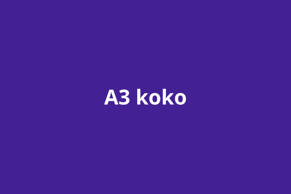 A3 koko